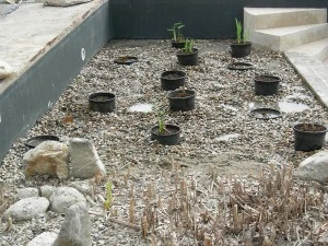Entretien de jardin Condom