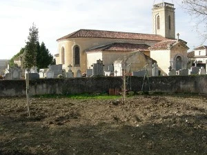 Plantation de végétaux Nérac