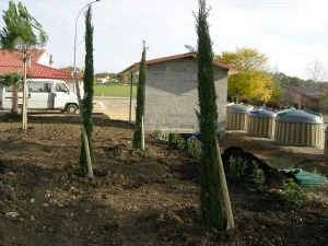 Plantation de végétaux Auch