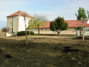 Plantation de végétaux Agen