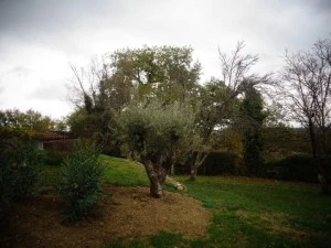 Paysagiste Nérac